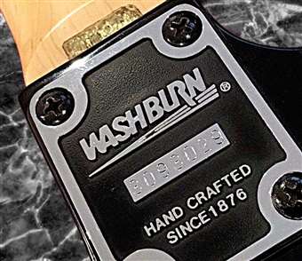 washburn guitar servicing