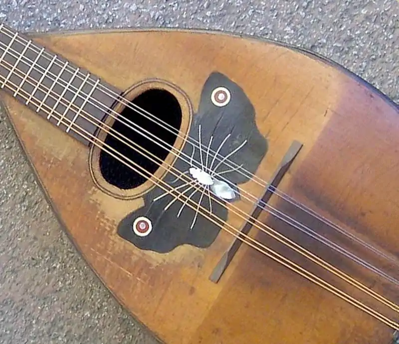 Vintage acoustic mandolin top showing oval soundhole, wooden bridge, and butterfly inlay pickguard.