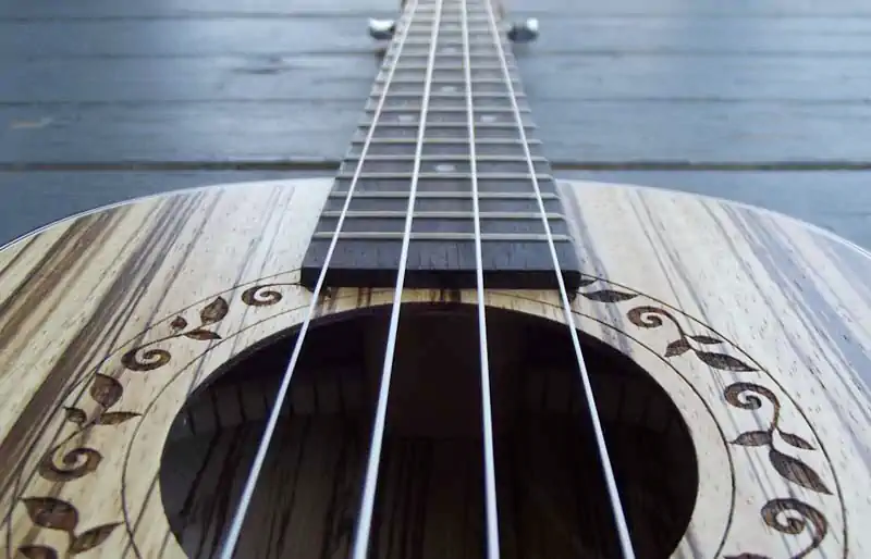 Perspective view of a zebrawood acoustic ukulele body with a leaf-patterned rosette around the soundhole and fretboard.